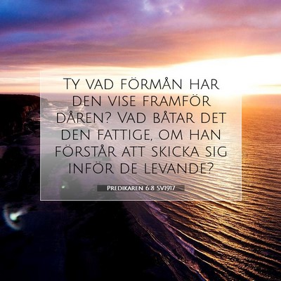 Predikaren 6:8 SV1917 Bild av bibelvers