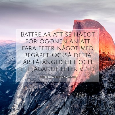 Predikaren 6:9 SV1917 Bild av bibelvers