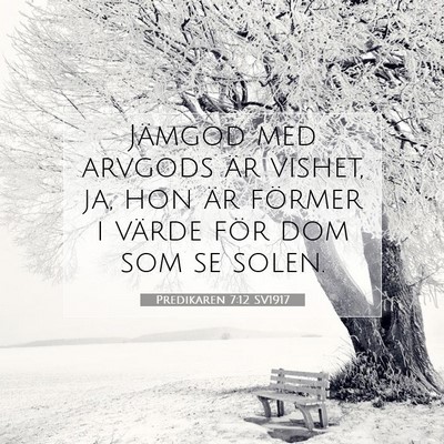 Predikaren 7:12 SV1917 Bild av bibelvers