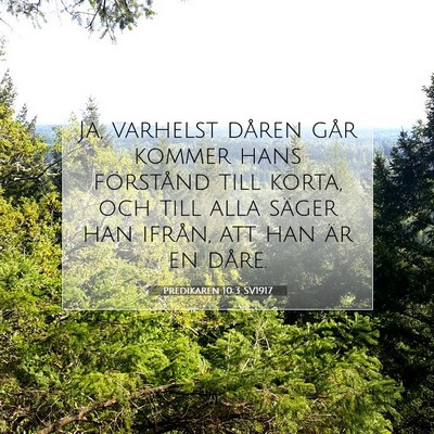 Predikaren 10:3 Bibelvers Förklarad