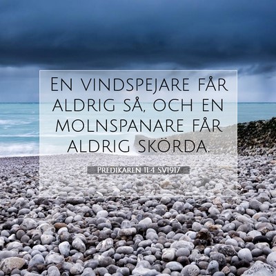Predikaren 11:4 SV1917 Bild av bibelvers