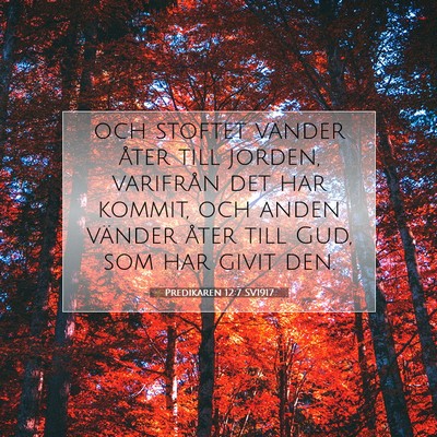 Predikaren 12:7 SV1917 Bild av bibelvers