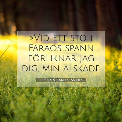 Höga Visan 1:9 SV1917 Bild av bibelvers