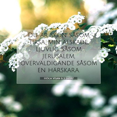 Höga Visan 6:3 SV1917 Bild av bibelvers