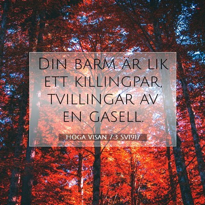 Höga Visan 7:3 Bibelvers Förklarad