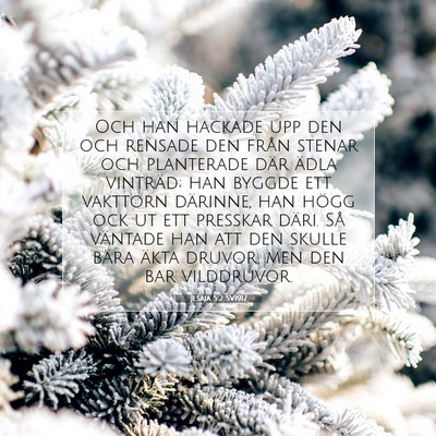 Jesaja 5:2 SV1917 Bild av bibelvers