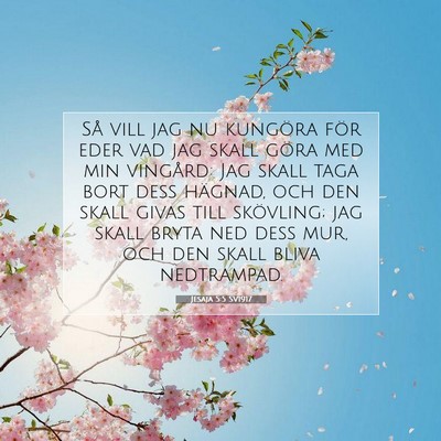 Jesaja 5:5 SV1917 Bild av bibelvers