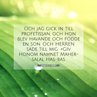 Jesaja 8:3 SV1917 Bild av bibelvers