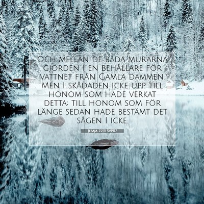 Jesaja 22:11 SV1917 Bild av bibelvers