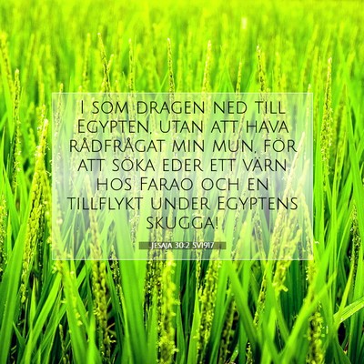 Jesaja 30:2 SV1917 Bild av bibelvers