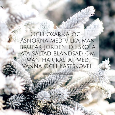 Jesaja 30:24 Bibelvers Förklarad
