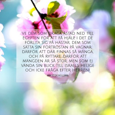 Jesaja 31:1 SV1917 Bild av bibelvers