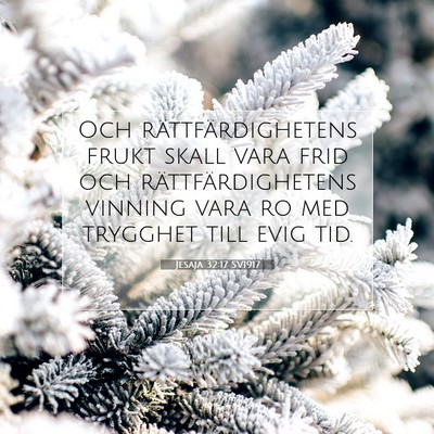 Jesaja 32:17 SV1917 Bild av bibelvers