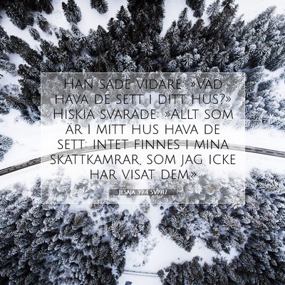 Jesaja 39:4 Bibelvers Förklarad