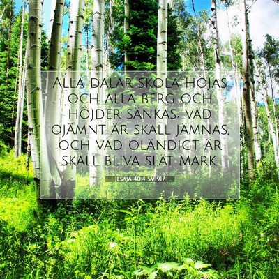 Jesaja 40:4 SV1917 Bild av bibelvers