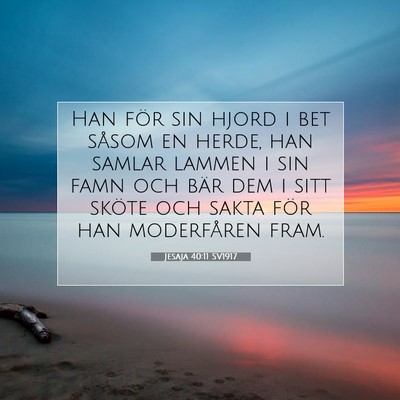 Jesaja 40:11 SV1917 Bild av bibelvers