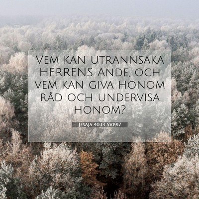 Jesaja 40:13 SV1917 Bild av bibelvers