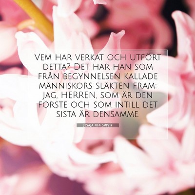 Jesaja 41:4 SV1917 Bild av bibelvers