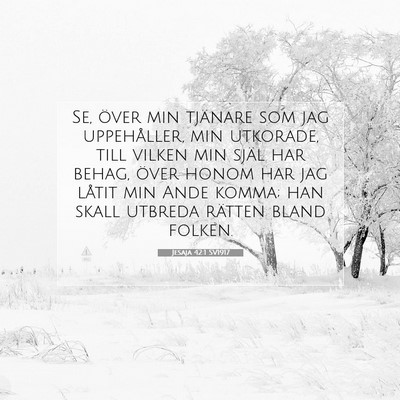 Jesaja 42:1 SV1917 Bild av bibelvers
