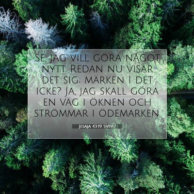 Jesaja 43:19 SV1917 Bild av bibelvers