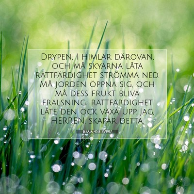 Jesaja 45:8 SV1917 Bild av bibelvers