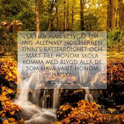 Jesaja 45:24 SV1917 Bild av bibelvers