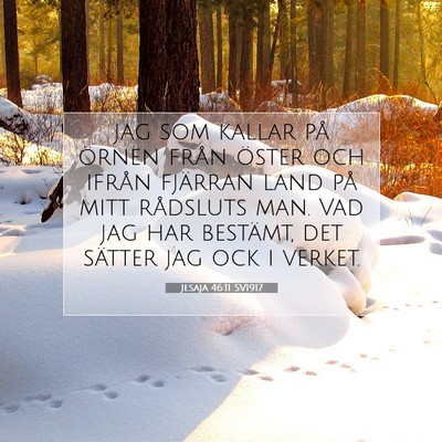 Jesaja 46:11 Bibelvers Förklarad