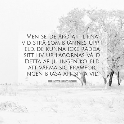 Jesaja 47:14 SV1917 Bild av bibelvers