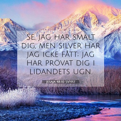 Jesaja 48:10 SV1917 Bild av bibelvers
