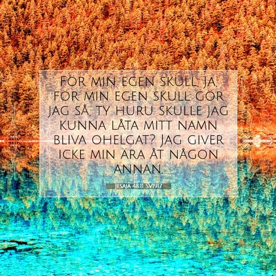 Jesaja 48:11 SV1917 Bild av bibelvers