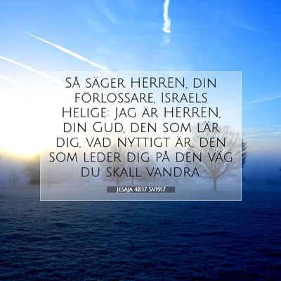 Jesaja 48:17 SV1917 Bild av bibelvers
