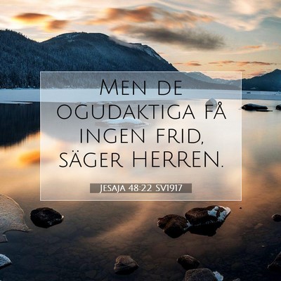 Jesaja 48:22 SV1917 Bild av bibelvers