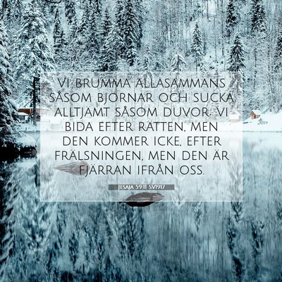 Jesaja 59:11 SV1917 Bild av bibelvers