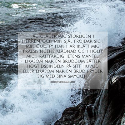 Jesaja 61:10 SV1917 Bild av bibelvers
