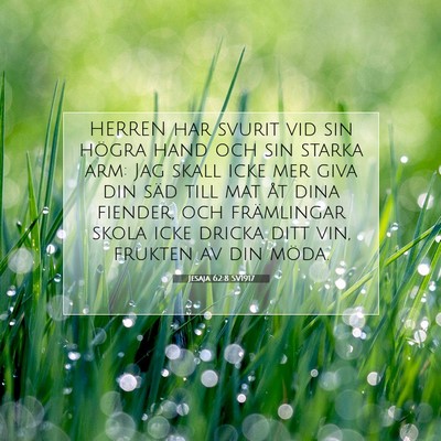 Jesaja 62:8 SV1917 Bild av bibelvers