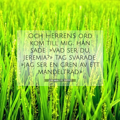 Jeremia 1:11 Bibelvers Förklarad