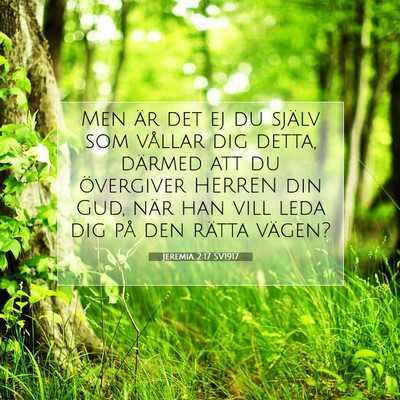 Jeremia 2:17 Bibelvers Förklarad