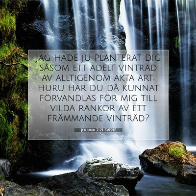 Jeremia 2:21 SV1917 Bild av bibelvers