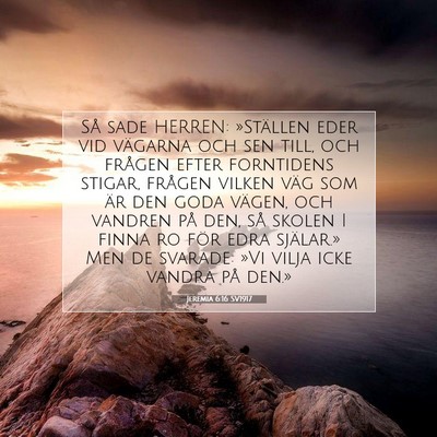Jeremia 6:16 SV1917 Bild av bibelvers