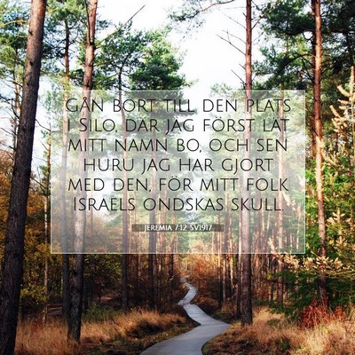 Jeremia 7:12 SV1917 Bild av bibelvers