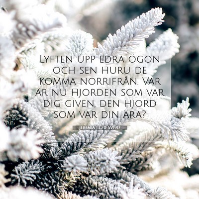 Jeremia 13:20 Bibelvers Förklarad