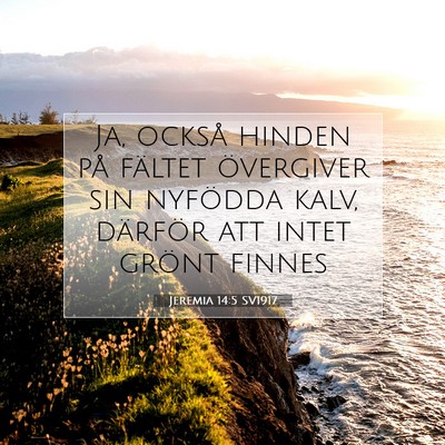 Jeremia 14:5 SV1917 Bild av bibelvers