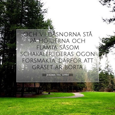 Jeremia 14:6 Bibelvers Förklarad