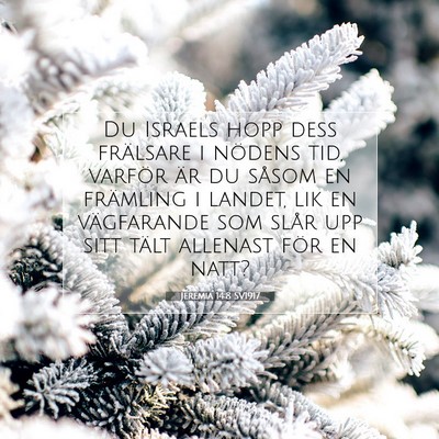 Jeremia 14:8 SV1917 Bild av bibelvers