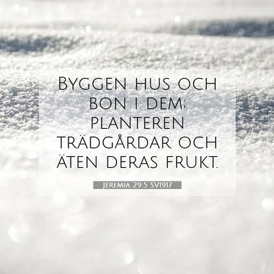 Jeremia 29:5 Bibelvers Förklarad