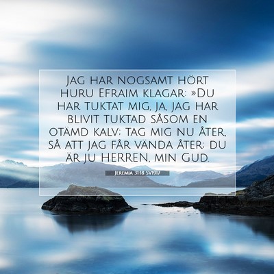 Jeremia 31:18 SV1917 Bild av bibelvers