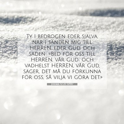 Jeremia 42:20 SV1917 Bild av bibelvers