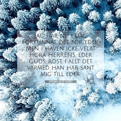 Jeremia 42:21 Bibelvers Förklarad