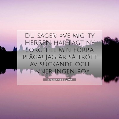 Jeremia 45:3 SV1917 Bild av bibelvers