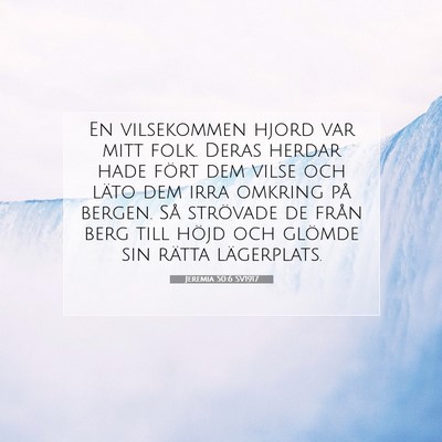 Jeremia 50:6 SV1917 Bild av bibelvers